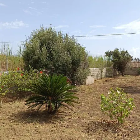 Aurora Tatil Evi